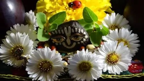 Bóstwa Guru Maharaja