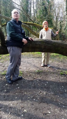 Bushey i Rutland UK Kwiecień 2018