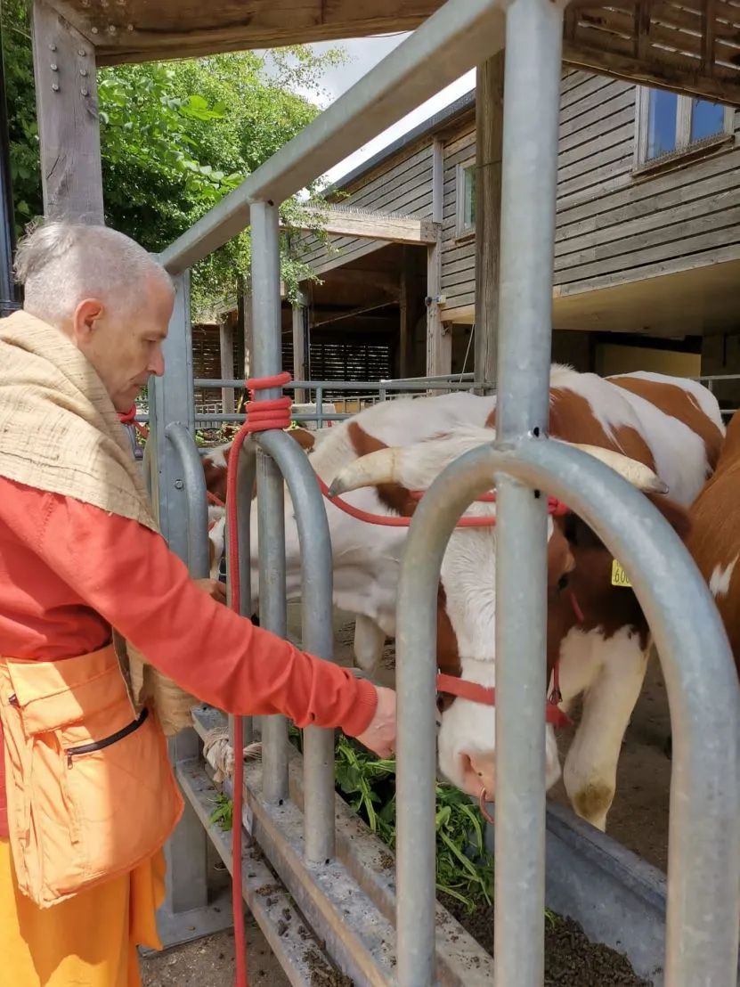Czerwiec 2022 - Bhaktivedanta Manor, Bushey, Oxford - UK