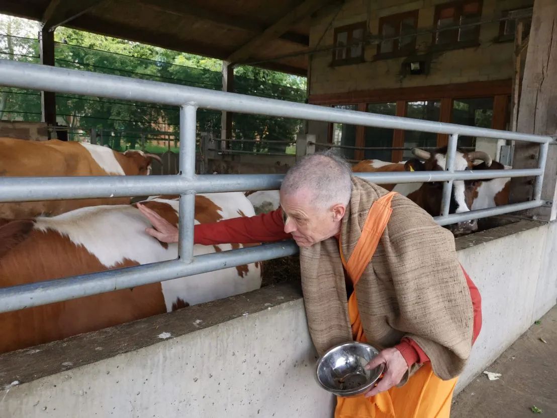 Czerwiec 2022 - Bhaktivedanta Manor, Bushey, Oxford - UK