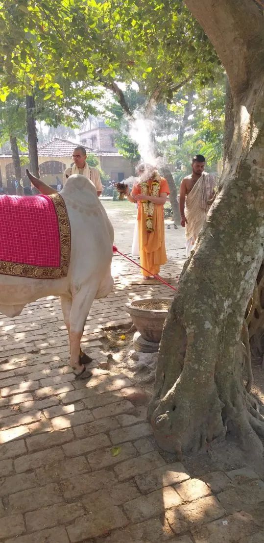 Go Puja, Mayapur 04.12.2022